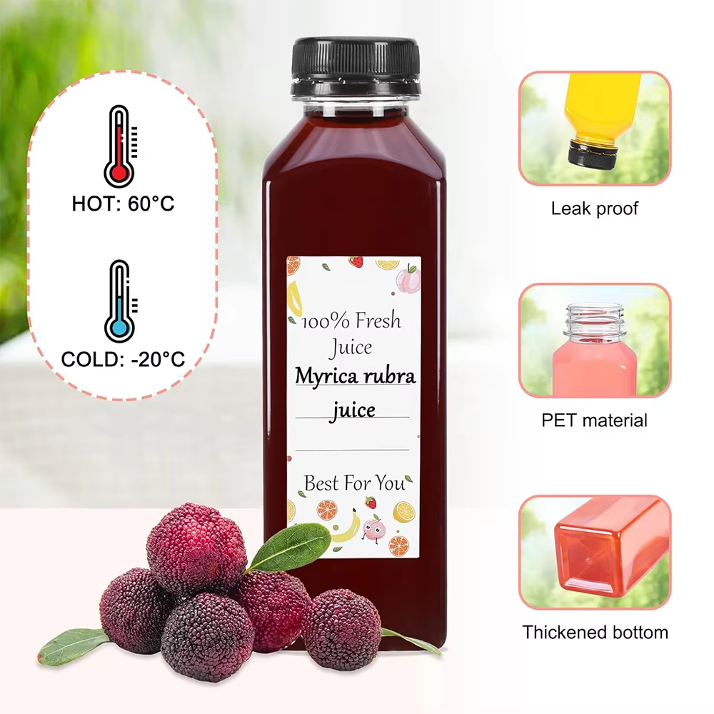 500ML Juice Bottles with Caps  - Water Bottle Blank ulasan dan harga