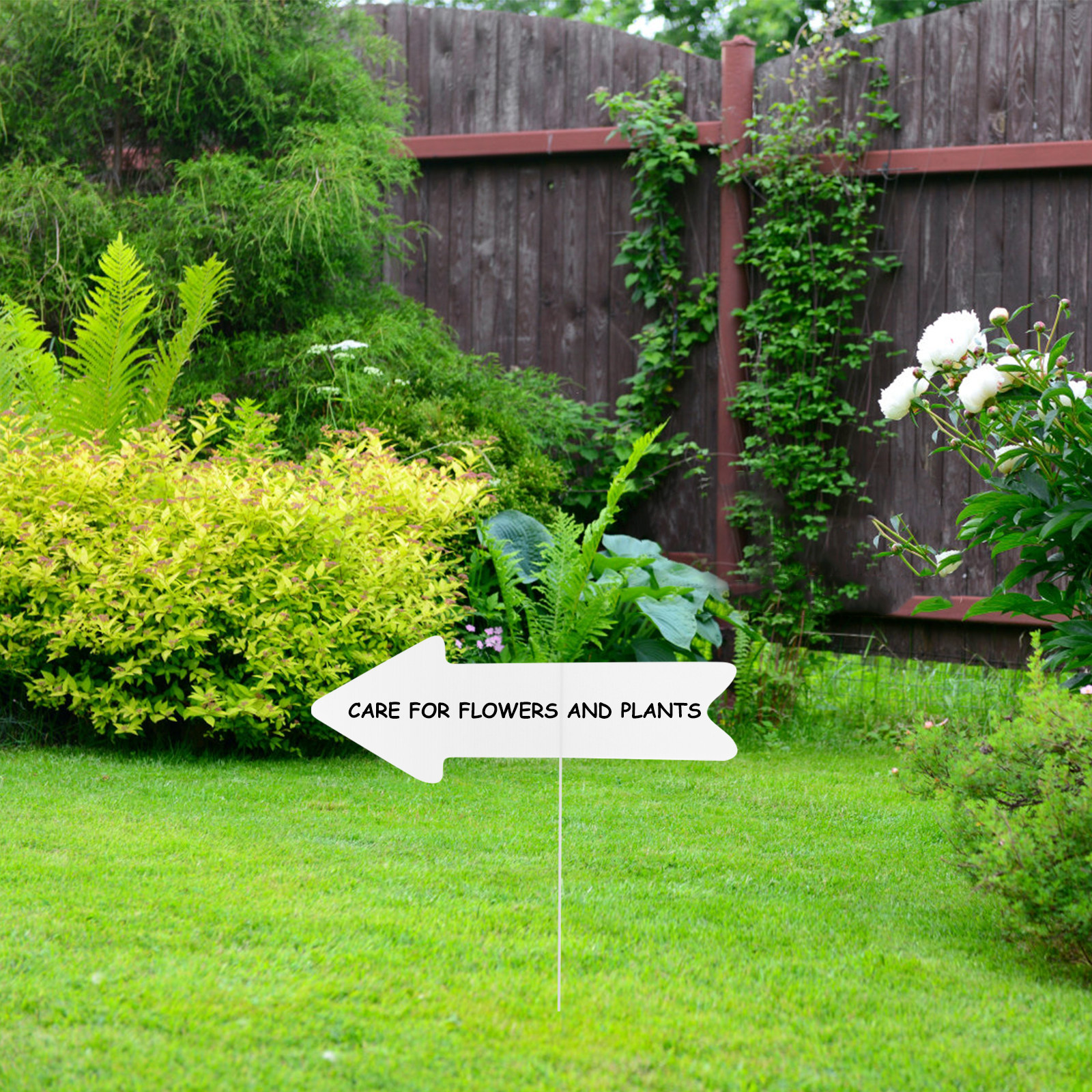 5Pcs Blank Plastic Yard Signs  - Yard Sign Blank ulasan dan harga